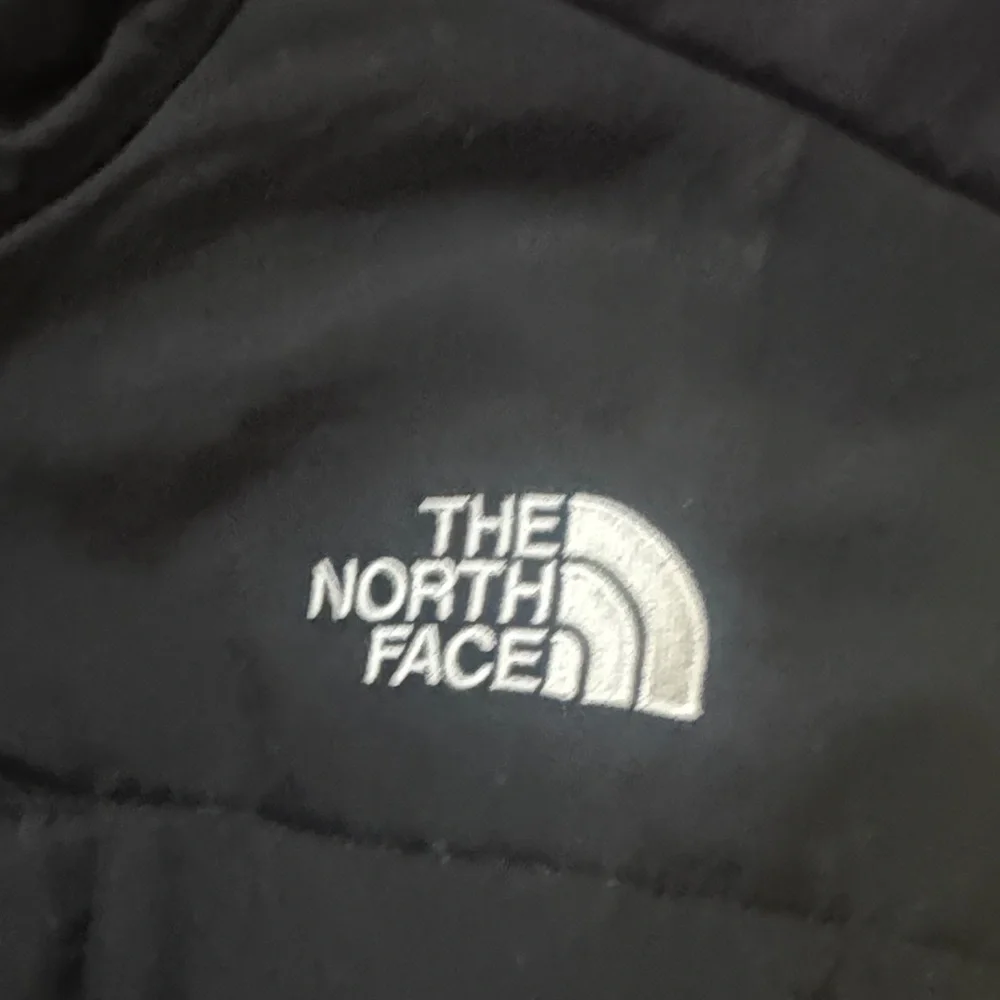The North Face retro 1995 Sulphur Green Denali fleece Jacket size large - Picture 3 of 5